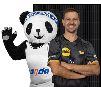 Die Pandas von Yingli