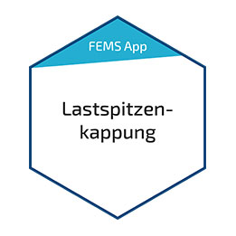 FENECON FEMS App Lastspitzenkappung