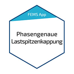 FENECON FEMS App Phasengenaue Lastspitzenkappung
