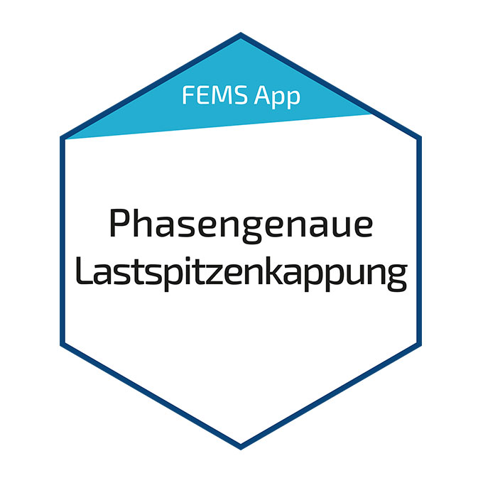 FENECON FEMS App Phasengenaue Lastspitzenkappung