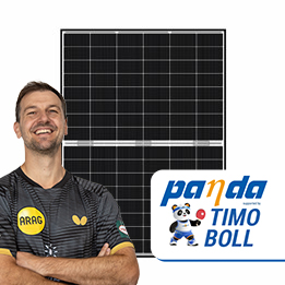 Panda 3.0 Mini 2 von Yingli YL455CF48i/2 GG M-RE MC4