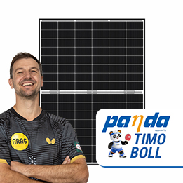 Panda 3.0 Mini 2 von Yingli YL460CF48i/2 GG M-RE MC4